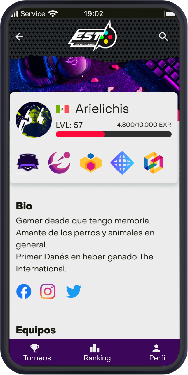 Gamer profile screen — avatar, level, EXP bar, achievement badges and bio